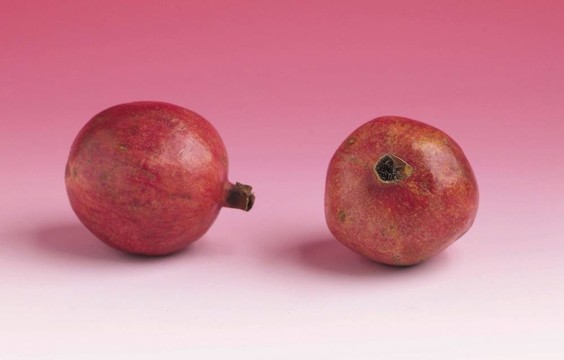 食品和菜肴