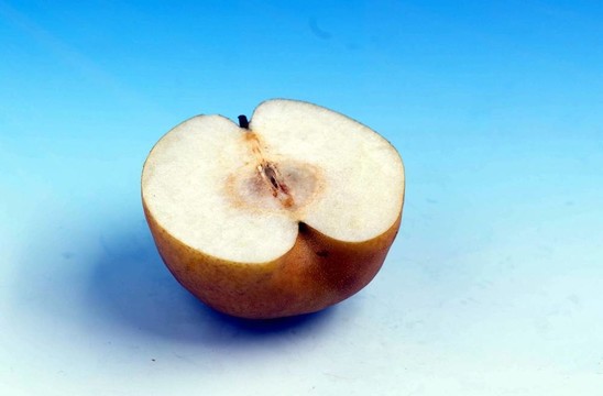 食品和菜肴