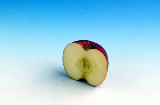 食品和菜肴