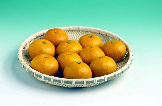 食品和菜肴