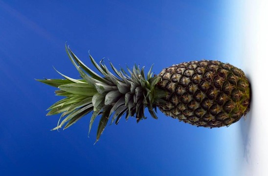 食品和菜肴