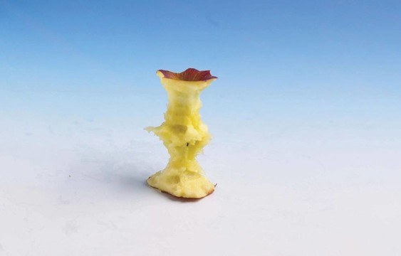 食品和菜肴