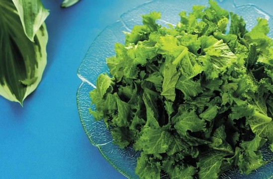 烹飪和美食