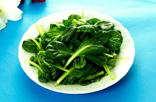 烹飪和美食