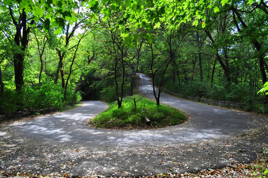 蜿蜒的道路