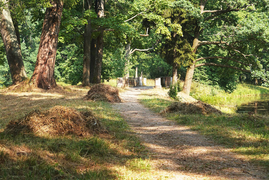 一堆干草在一個公園里