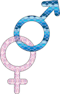 性別標(biāo)志
