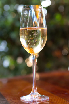 Winerey拿著酒杯