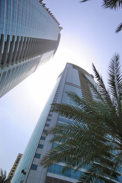 摩天大樓觀；迪拜；UAE