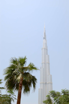迪拜；UAE - 8月27日：迪拜塔的整理階段（布爾季