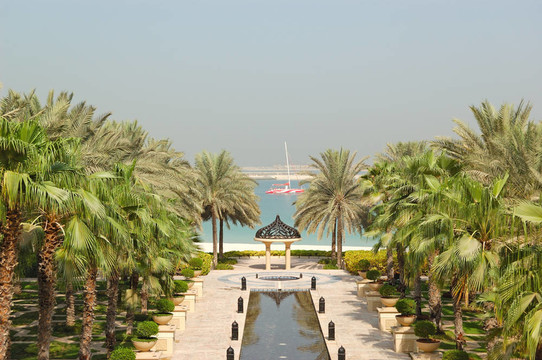 迪拜市酒店休閑區(qū)棕櫚樹；浙江??；UAE