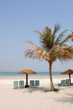 豪華酒店的海灘；阿吉曼；UAE