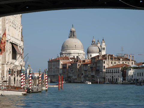 威尼斯觀在Ponte dell Accademia致敬