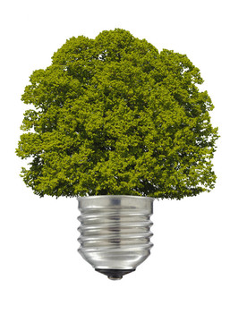 帶綠色樹的電燈