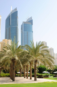 迪拜市中心的棕櫚巷；UAE