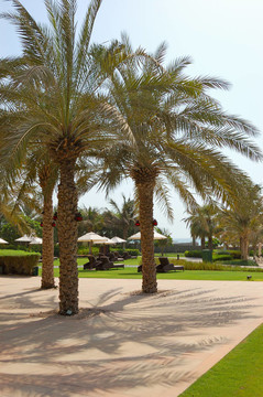UAE；豪華酒店；娛樂區(qū)；海灘；迪拜