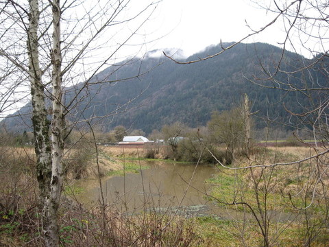 沿海農(nóng)田