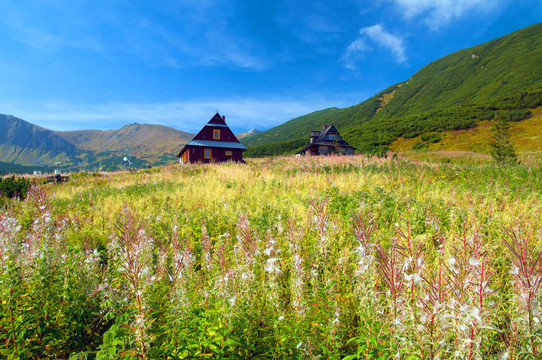 山地景觀