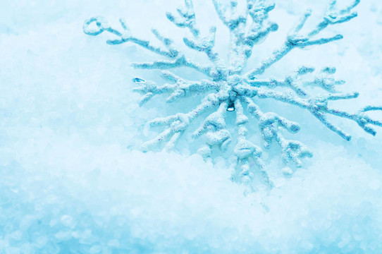 雪花在雪中。圣誕節(jié)