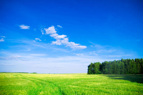 夏天的風(fēng)景