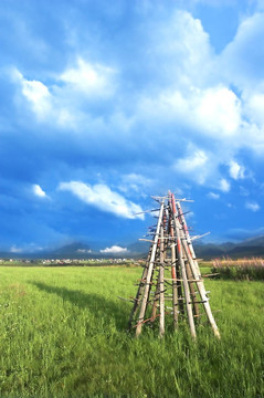 山地景觀