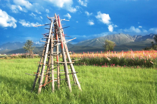 山地景觀