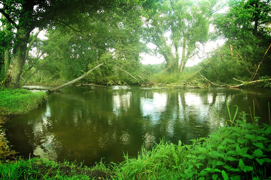 夏天的風(fēng)景