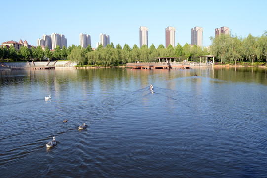 秦皇島建筑