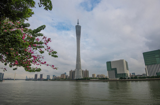 廣州電視塔