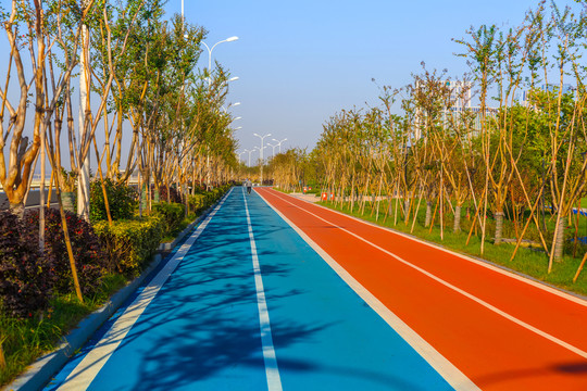 公園健身跑道