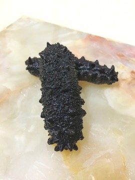 海參