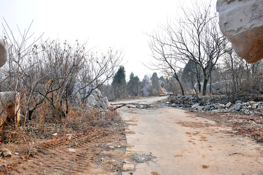 鄉(xiāng)村旅游