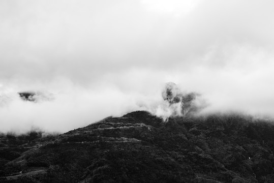 雁蕩山云霧
