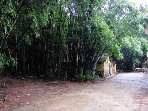 農(nóng)村