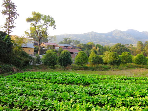 I山村