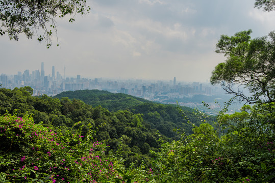 青山