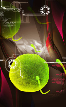 精子