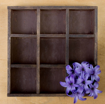 風(fēng)信子花獨(dú)自在一個(gè)木盒子