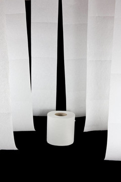 一種帶有一卷的掛衛(wèi)生紙