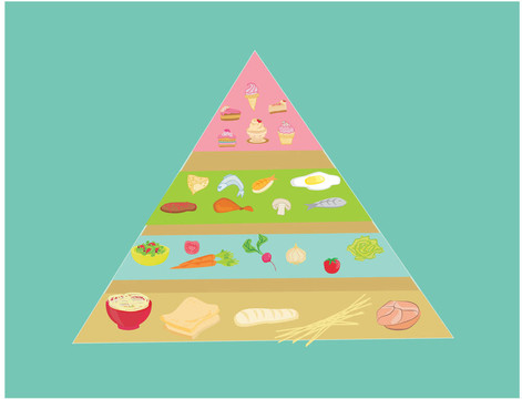 向量中的食物金字塔