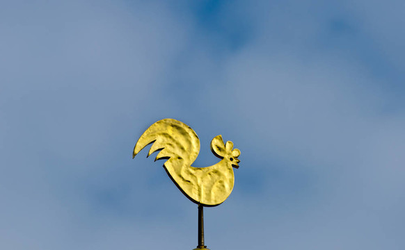 風(fēng)向標(biāo)