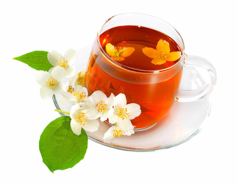 白背景的茉莉花茶