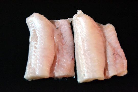 鱈魚