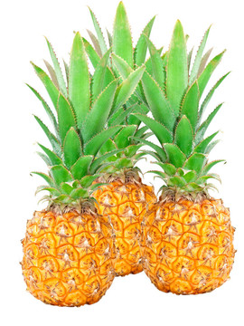 菠蘿