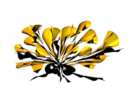 一方面Baihe Flower的畫