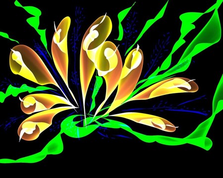一方面Baihe Flower的畫