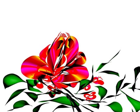 菊花