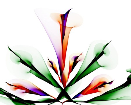一方面Baihe Flower的畫