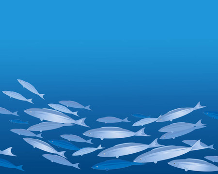 魚群
