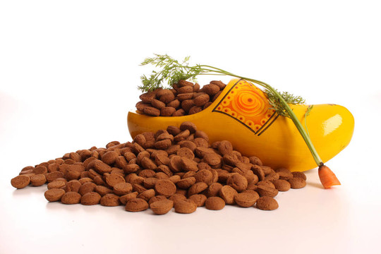Sinterklaas在荷蘭
